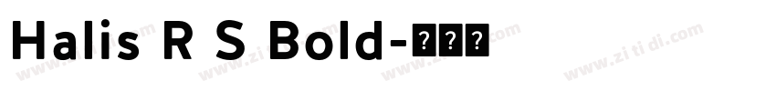 Halis R S Bold字体转换